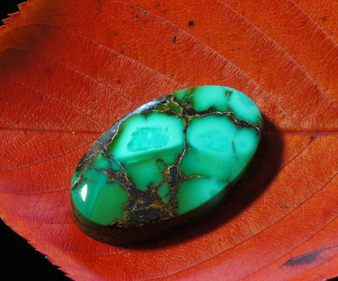 Turquoise from Royston, Nevada